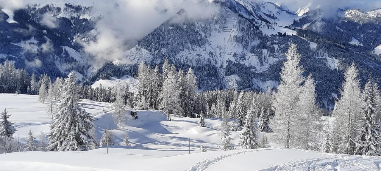 Chalet Auhof Flachau Exterior foto